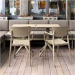 Compamia Loft Indoor Outdoor Dining Arm Chair in Taupe