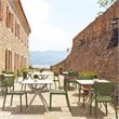 Compamia Lucy Dining Chair in Olive Green Finish