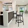 Compamia Victor Contemporary Resin Indoor Outdoor Bar Stool Black
