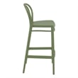 Compamia Victor Contemporary Resin Indoor Outdoor Bar Stool Olive Green