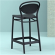 Compamia Marcel Contemporary Resin Indoor Outdoor Counter Stool Black