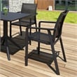 Compamia Pacific Sling Arm Chair in Black