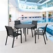 Compamia Pacific Sling Arm Chair in Black