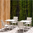 Compamia Pacific Sling Arm Chair in White