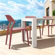 Compamia Snow Resin Dining Chair in Marsala finish