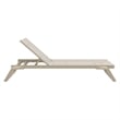 Compamia Tropic Arm Sling Chaise Lounge Taupe Frame Taupe Sling