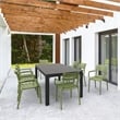 Compamia Paris Resin Outdoor Arm Chair Olive Green