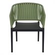 Compamia Portofino ArmChair in Black-Olive Green