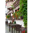 Compamia Ares Outdoor Patio Dining Chair in Brown
