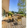 Compamia Ares Outdoor Patio Dining Chair in Teak Brown