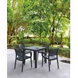 Compamia Artemis Outdoor Patio Dining Arm Chair in Dark Gray