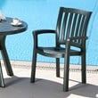 Compamia Sunshine Resin Patio Dining Arm Chair in Green