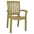 Compamia Sunshine Resin Patio Dining Arm Chair in Teak Brown