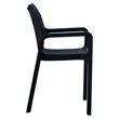 Compamia Diva Resin Outdoor Patio Dining Arm Chair in Black