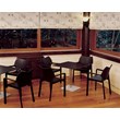 Compamia Diva Resin Outdoor Patio Dining Arm Chair in Black
