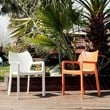 Compamia Diva Resin Outdoor Patio Dining Arm Chair in Dark Gray