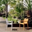 Compamia Diva Resin Outdoor Patio Dining Arm Chair in Dark Gray