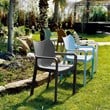 Compamia Diva Resin Outdoor Patio Dining Arm Chair in Dark Gray