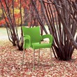 Compamia Romeo Resin Patio Dining Arm Chair in Apple Green