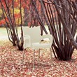 Compamia Romeo Resin Patio Dining Arm Chair in Beige