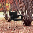Compamia Romeo Resin Patio Dining Arm Chair in Black