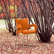 Compamia Romeo Resin Patio Dining Arm Chair in Orange