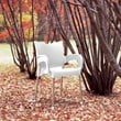 Compamia Romeo Resin Patio Dining Arm Chair in White