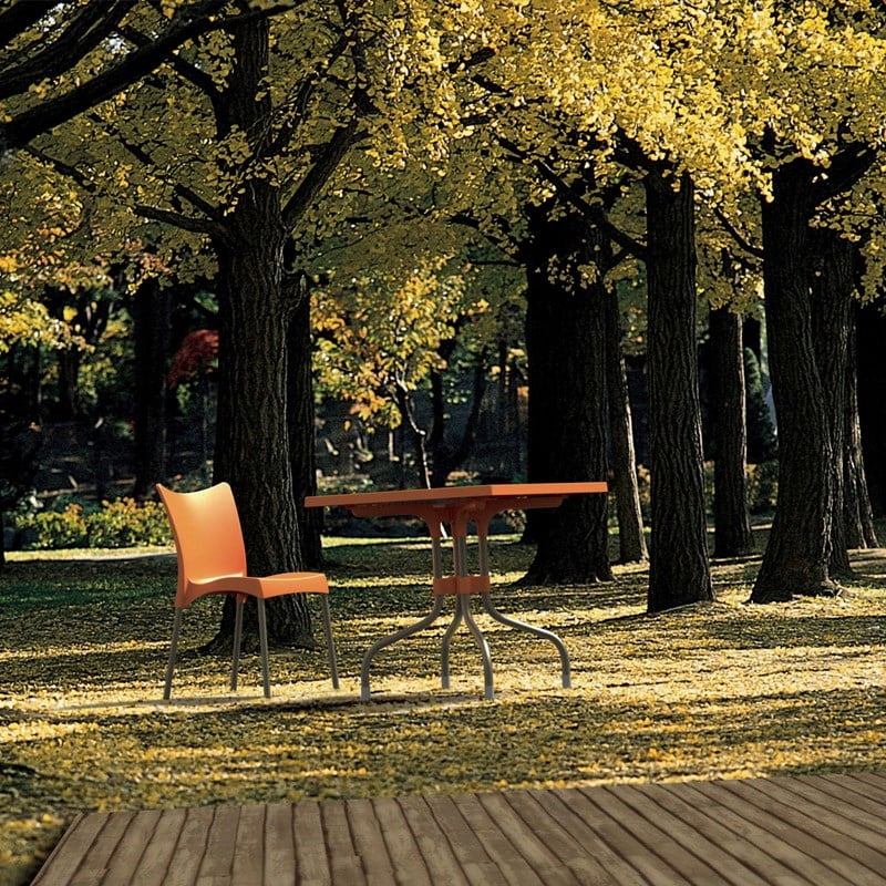 Compamia Juliette Resin Patio Dining Chair in Orange
