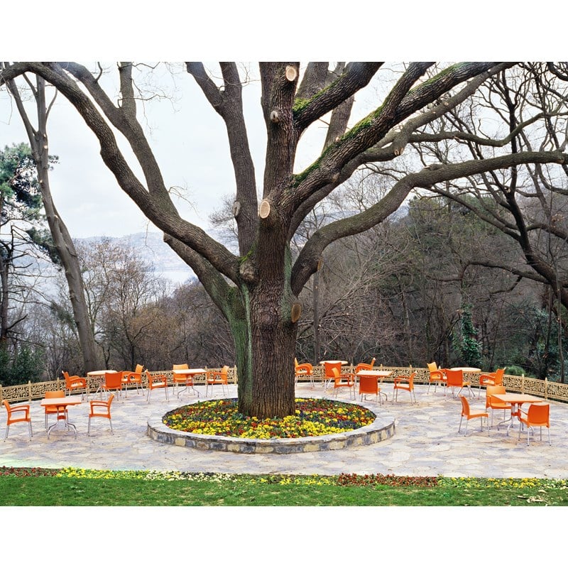 Compamia Dolce Resin Outdoor Arm Chair in Orange