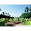 Compamia Vita Resin Outdoor Patio Dining Chair in Apple Green