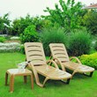 Compamia Sunrise Pool Chaise Lounge in Teak Brown