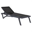 Compamia Pacific Chaise Lounge with Black Sling in Dark Gray Set of 2
