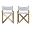 Set of 2 Tan Solid Wood Universal Director's Arm Chair in White Stretch Canvas