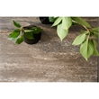 Universal Furniture Montclair Brindle Cocktail Table in Gold/Travertine