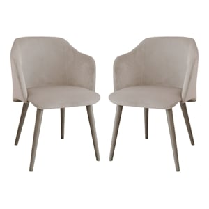 Casabianca Home Monroe Set of 2 Velvet Fabric Dining Chairs - Gray