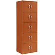 Hodedah 5 Shelf 10 Door Multi-Purpose Wooden Bookcase in Cherry Finish
