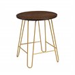 Carolina Classics Ethan 20 In Round Side Table in Elm and Gold