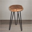 Carolina Classics Seti Live Edge Accent Table Top in Black