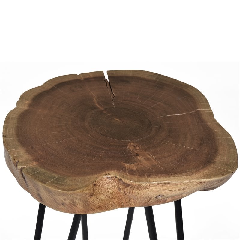 Carolina Classics Seti Live Edge Accent Table Top in Black
