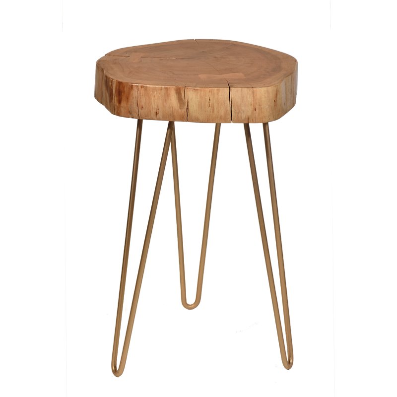 Carolina Classics Seti Live Edge Accent Table Top in Gold