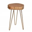 Carolina Classics Seti Live Edge Accent Table Top in Gold