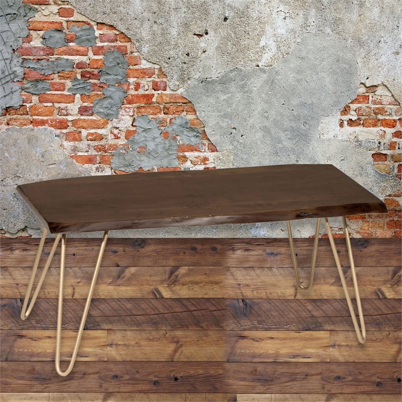 Carolina Classics Seti Live Edge Coffee Table and Bench in Elm and Gold