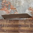 Carolina Classics Seti Live Edge Coffee Table and Bench in Elm and Gold