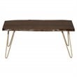 Carolina Classics Seti Live Edge Coffee Table and Bench in Elm and Gold