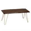 Carolina Classics Seti Live Edge Coffee Table and Bench in Elm and Gold