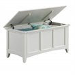 Carolina Classics Aura Storage Chest in Antique Ivory