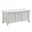 Carolina Classics Aura Storage Chest in Antique Ivory