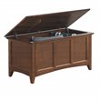 Carolina Classics Aura Solid Wood Blanket Storage Chest in Elm