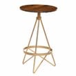 Carolina Classics Micah Wood Counter Height Stool in Elm and Gold
