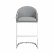 Carolina Classics Torano 26 In Upholstered Counter Stool in Gray/Chrome